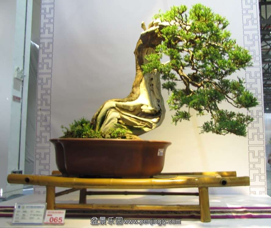 QQͼƬ20131003190618.jpg