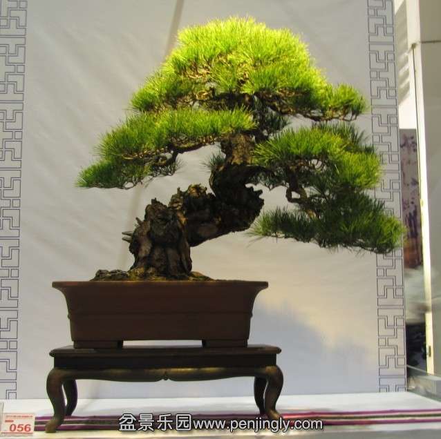 QQͼƬ20131003190643.jpg
