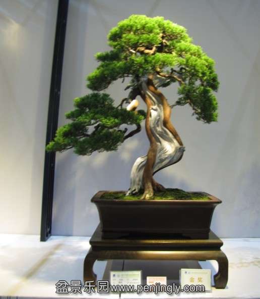 QQͼƬ20131003190702.jpg