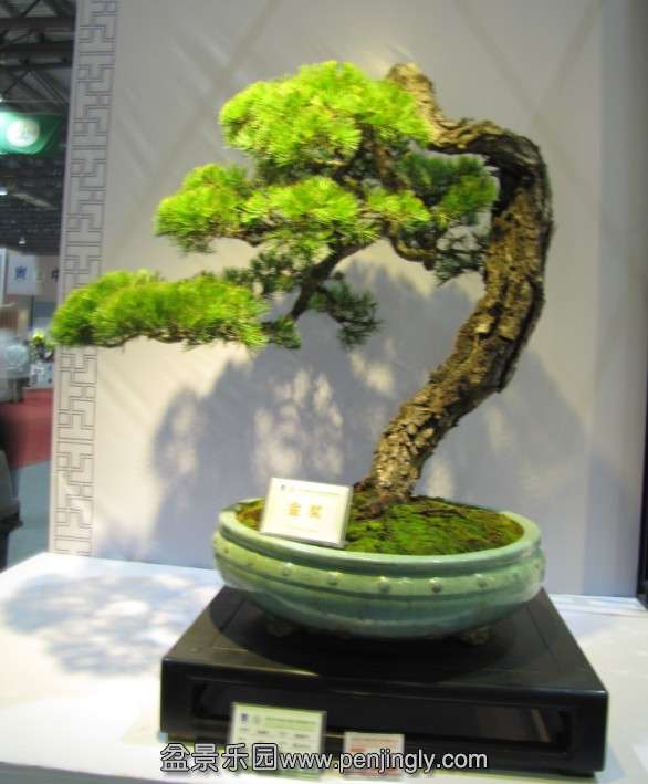 QQͼƬ20131003190755.jpg