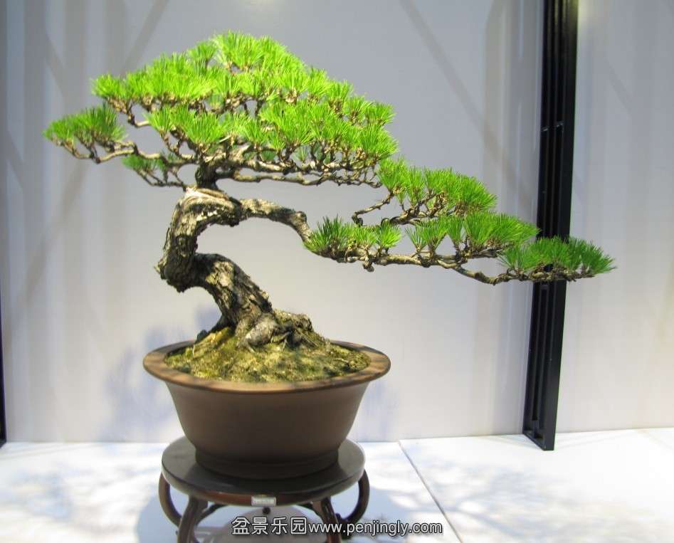 QQͼƬ20131003185950.jpg