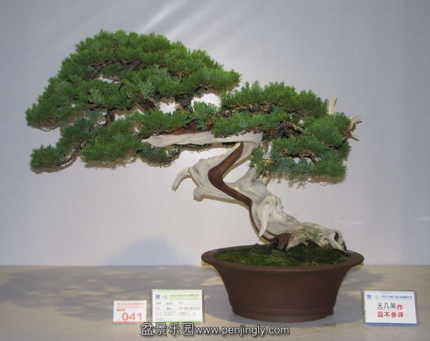 QQͼƬ20131003190036.jpg
