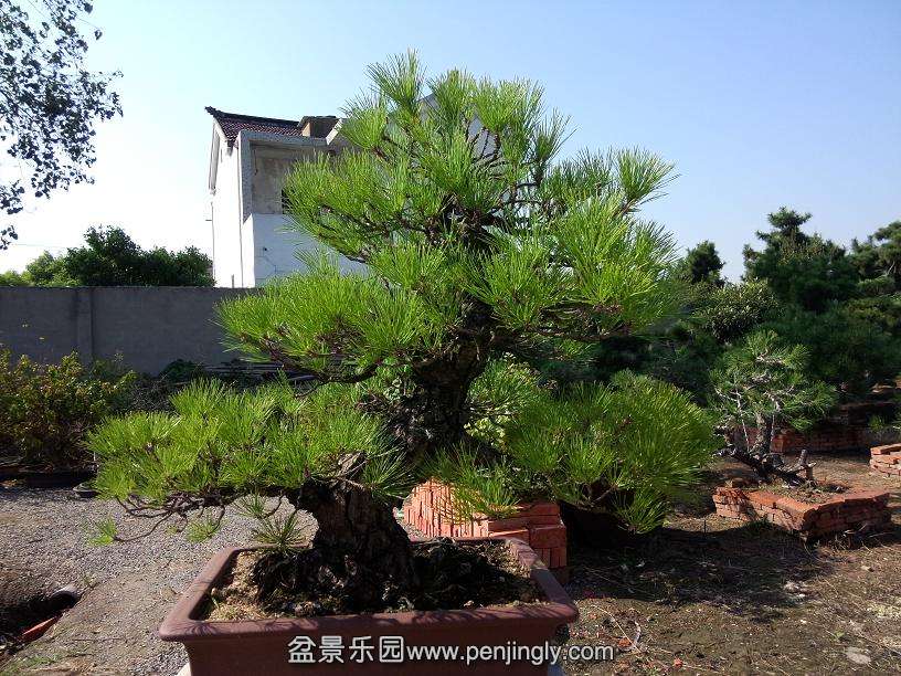 IMG20130926091131.jpg