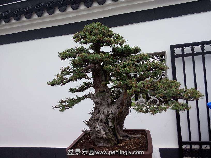 IMG20130925102539.jpg