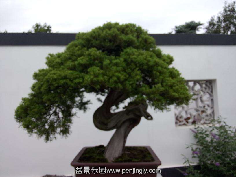 IMG20130925102633.jpg