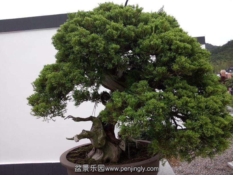 IMG20130925102656.jpg
