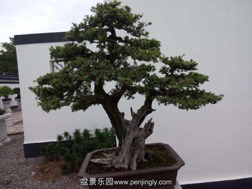 IMG20130925102801.jpg