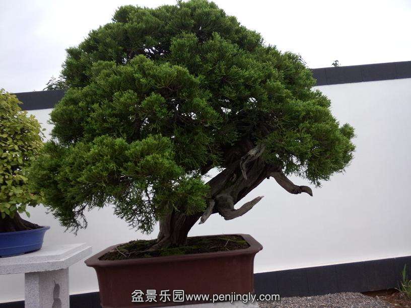 IMG20130925102907.jpg