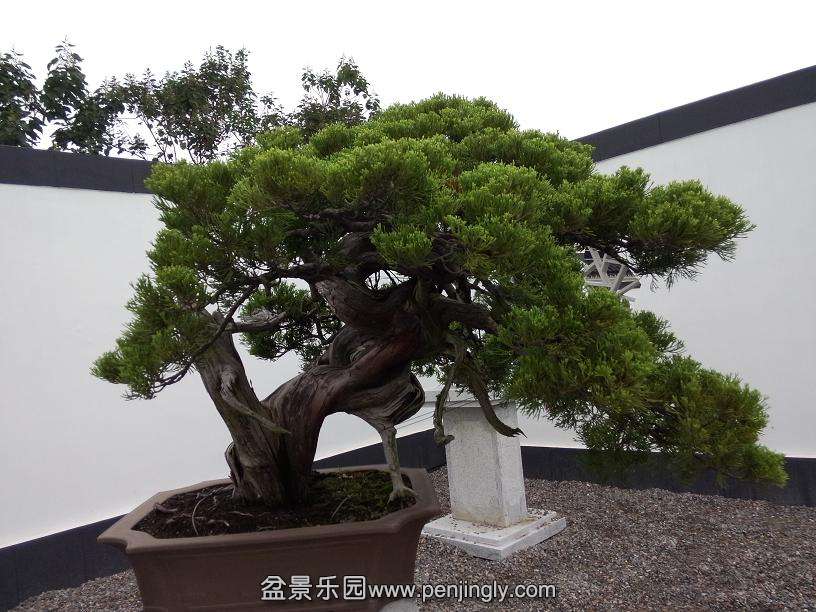 IMG20130925103015.jpg