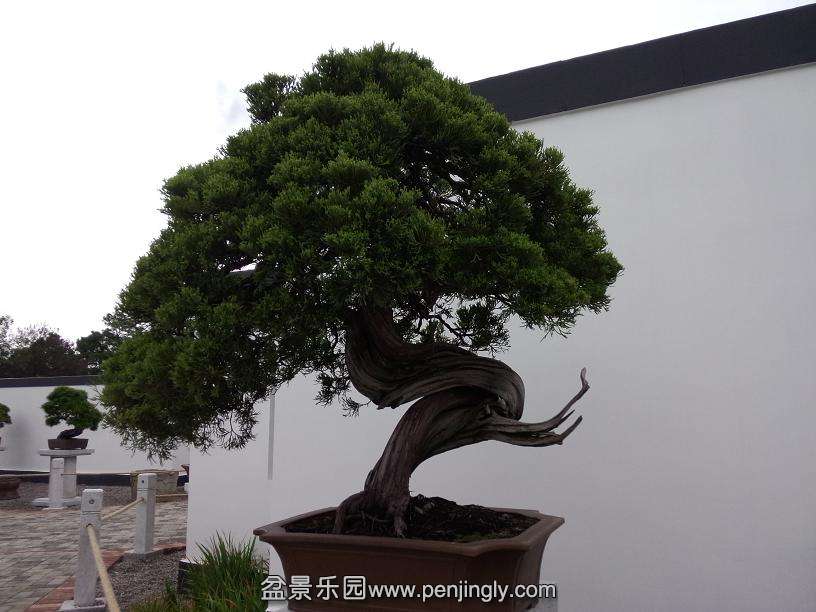 IMG20130925103103.jpg