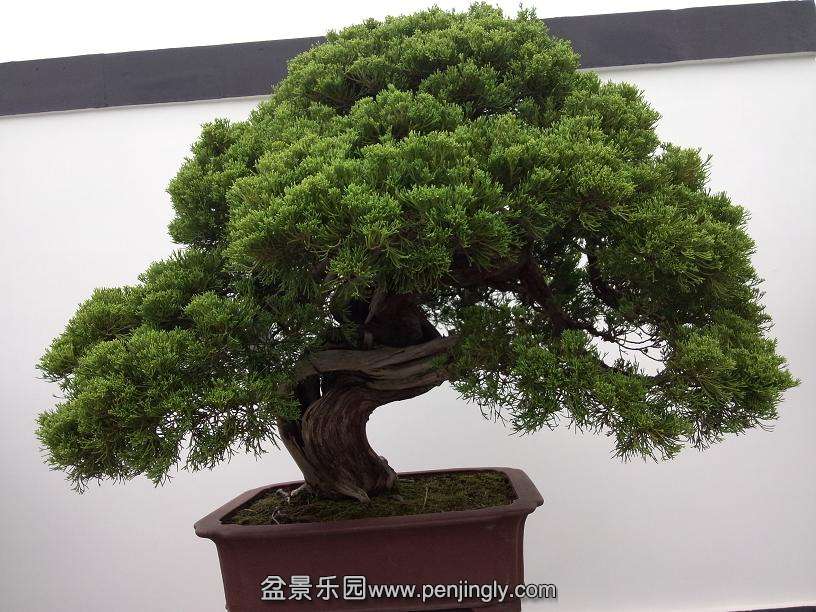 IMG20130925103137.jpg