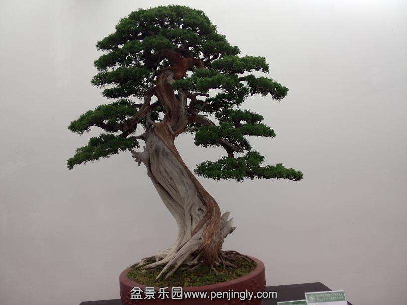 IMG20130925104705.jpg