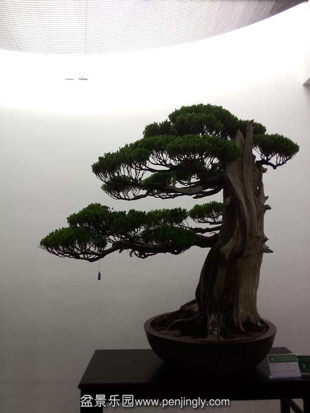 IMG20130925112645.jpg