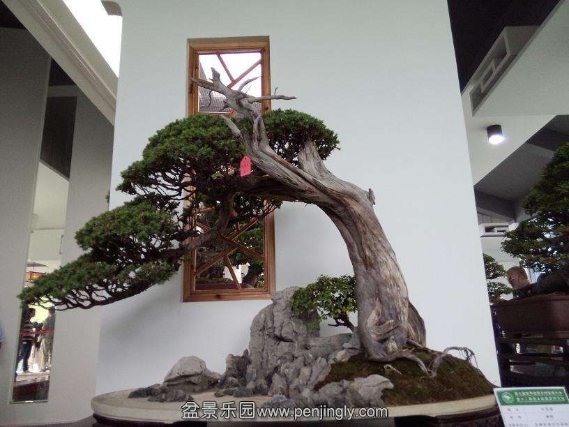 IMG20130925112921.jpg