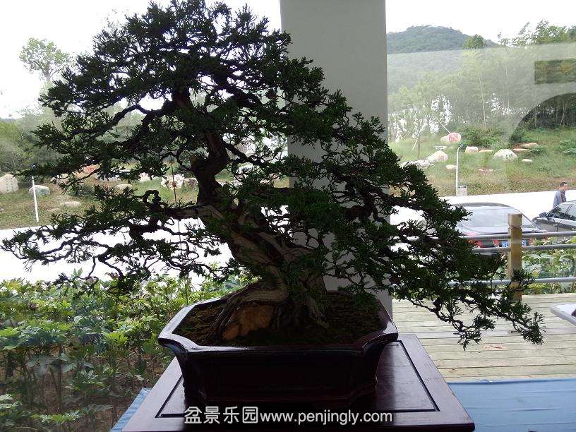 IMG20130925114257.jpg
