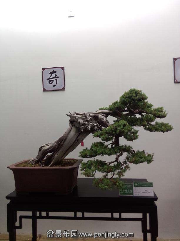IMG20130925114946.jpg