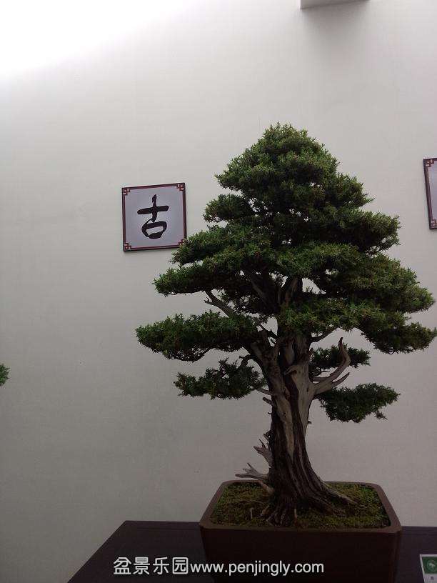 IMG20130925114956.jpg