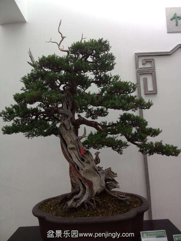 IMG20130925115229.jpg
