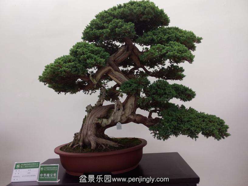 IMG20130925115621.jpg