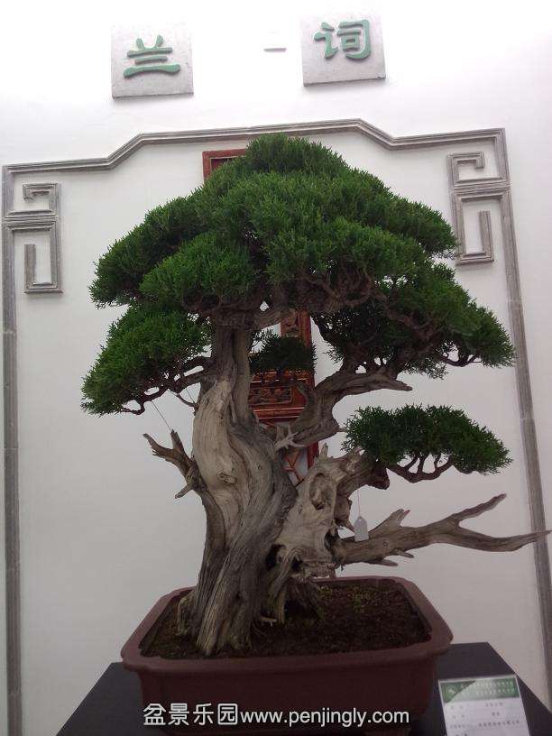IMG20130925115710.jpg