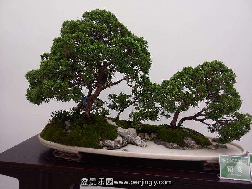 IMG20130925115725.jpg