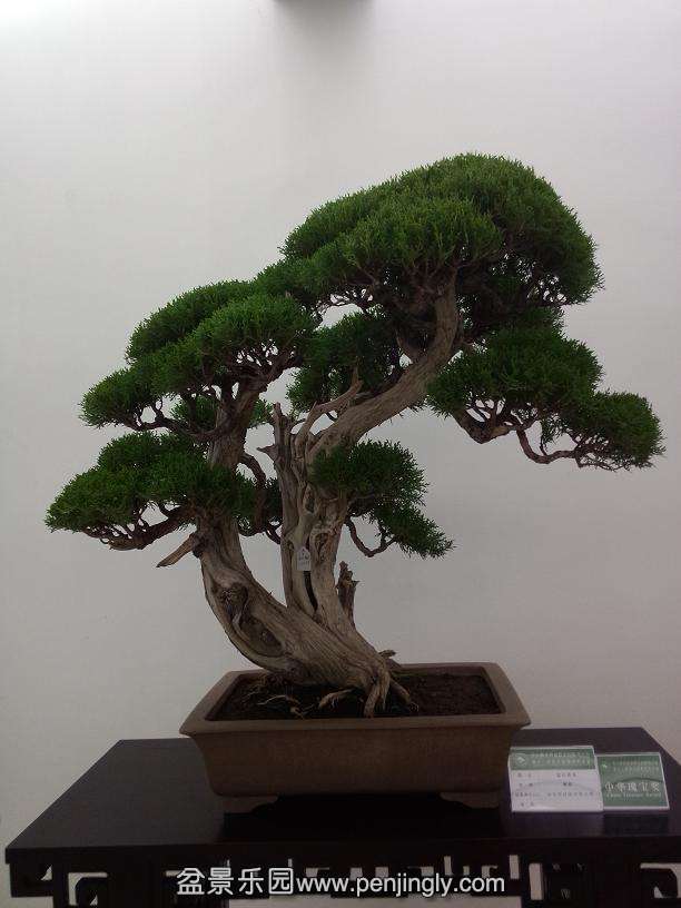 IMG20130925115745.jpg