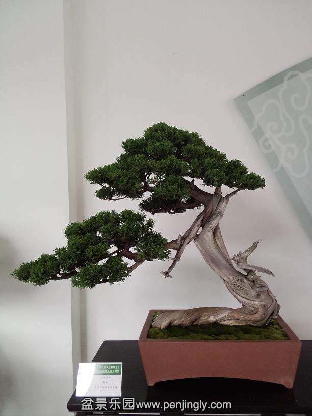 IMG20130925120132.jpg