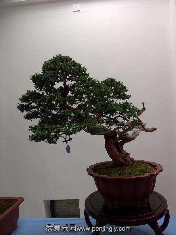 IMG20130925120521.jpg
