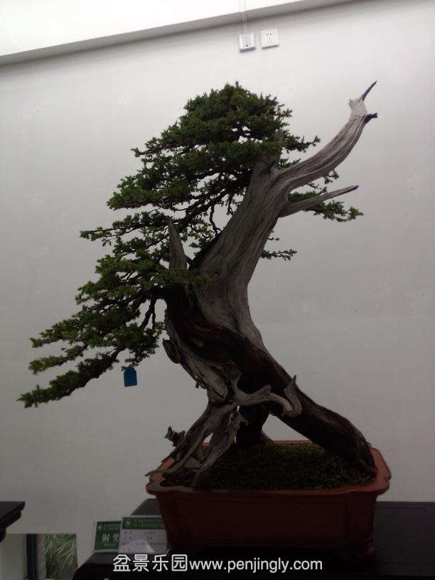 IMG20130925120729.jpg