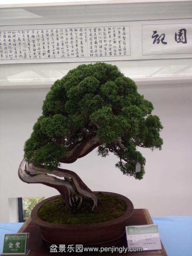 IMG20130925121003.jpg