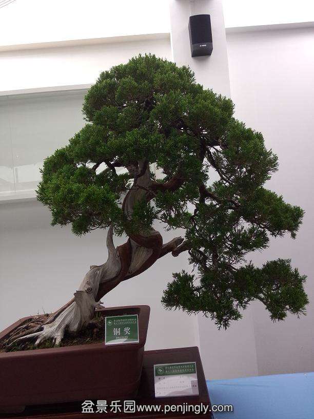 IMG20130925121016.jpg