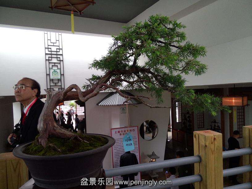 IMG20130925121218.jpg