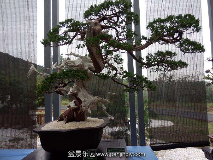 IMG20130925121543.jpg