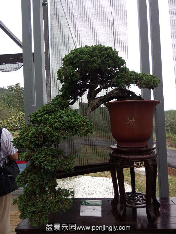 IMG20130925121709.jpg