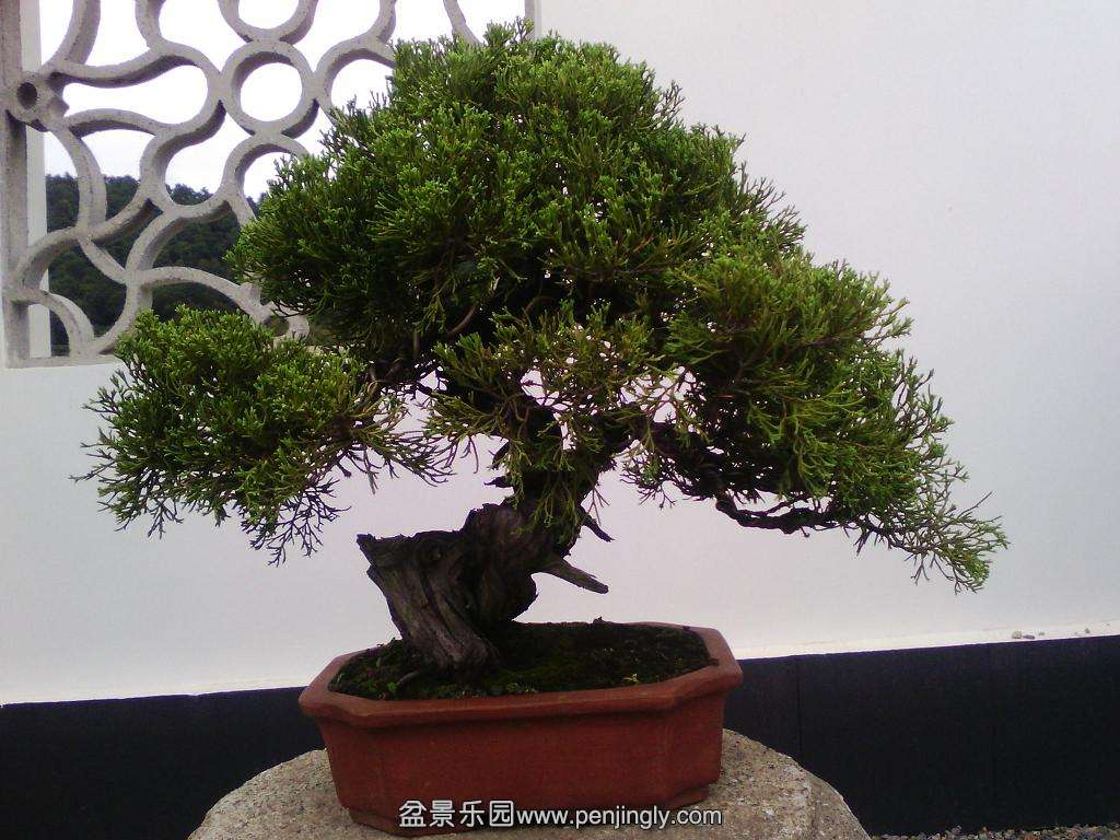 IMG_20130925_122331.jpg