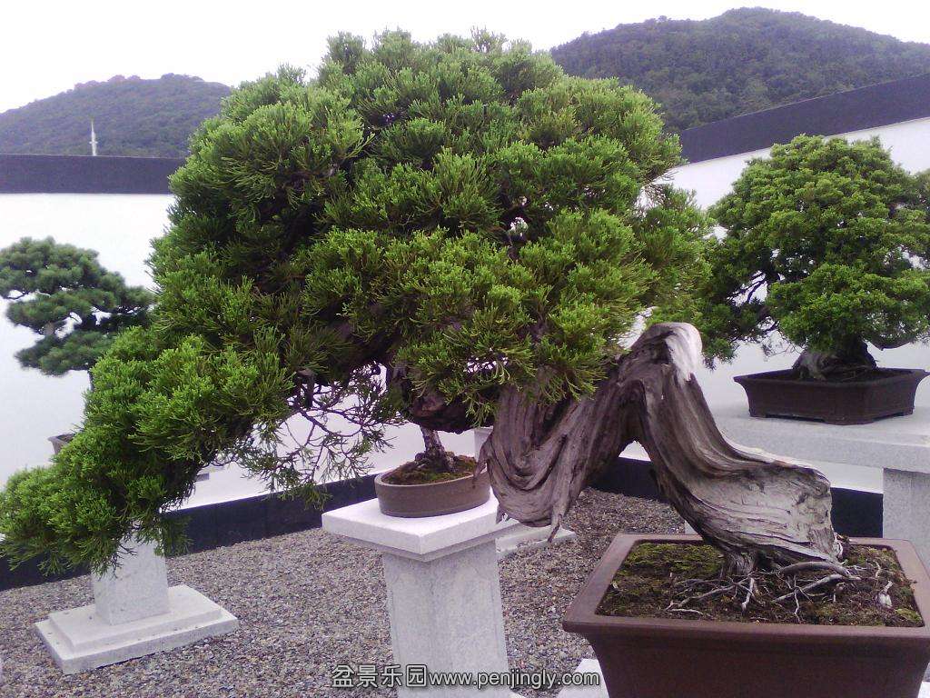 IMG_20130925_122428.jpg