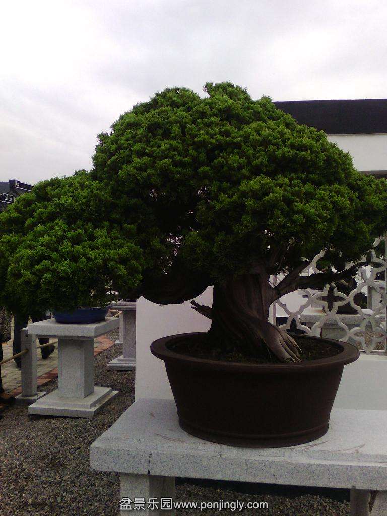IMG_20130925_122643.jpg