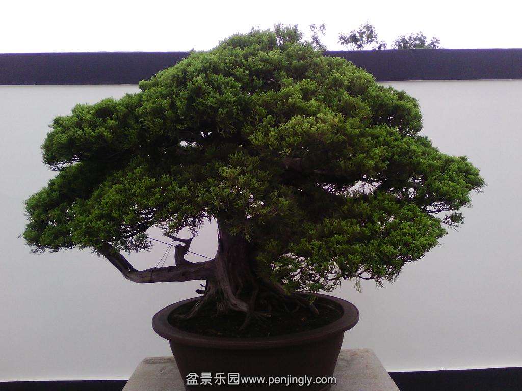 IMG_20130925_123307.jpg