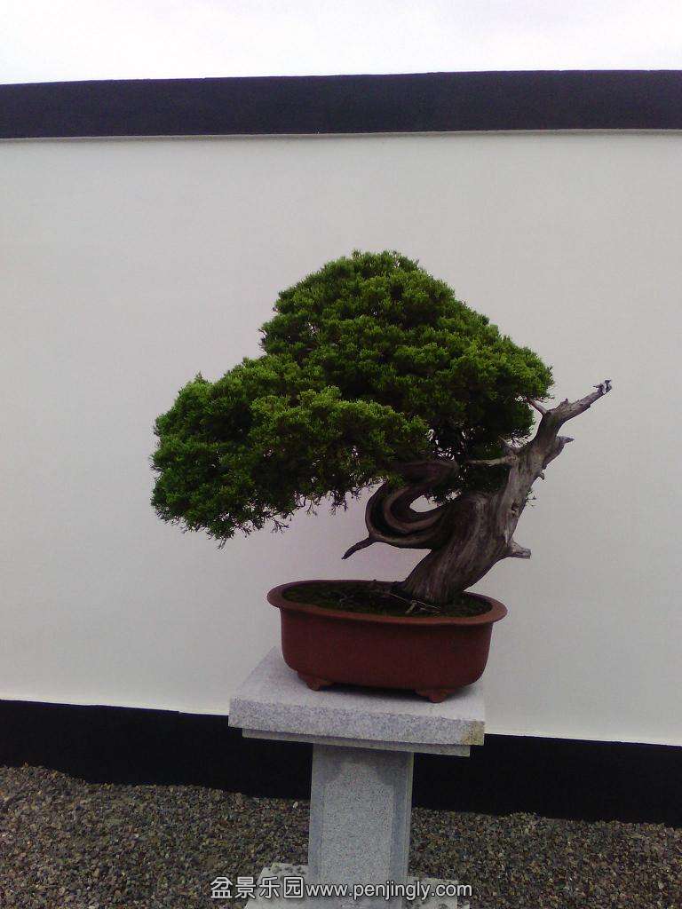 IMG_20130925_123651.jpg