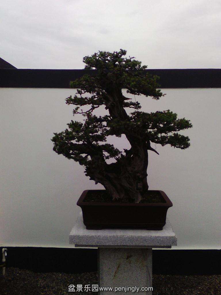 IMG_20130925_123819.jpg