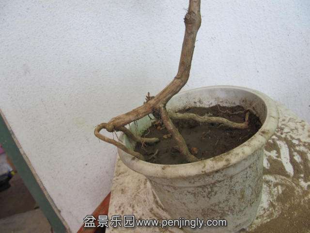 ĺ (4).JPG