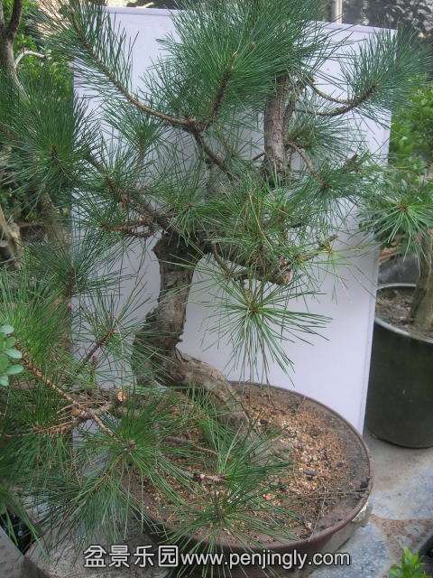 DSCN58600001.JPG