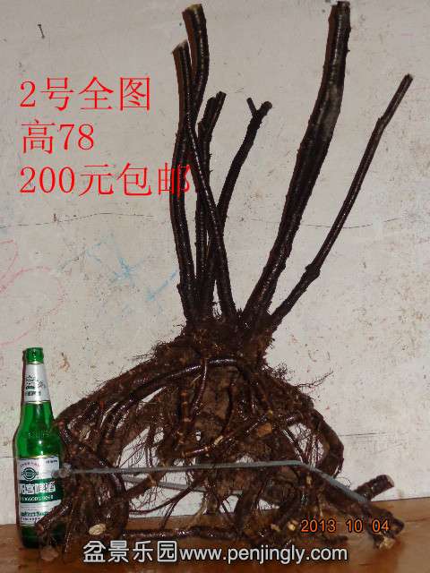 DSC00452_.jpg