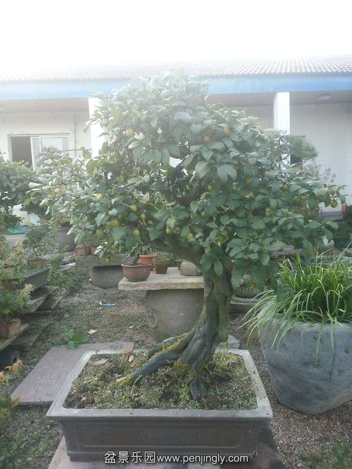 QQͼƬ20131004202825.jpg