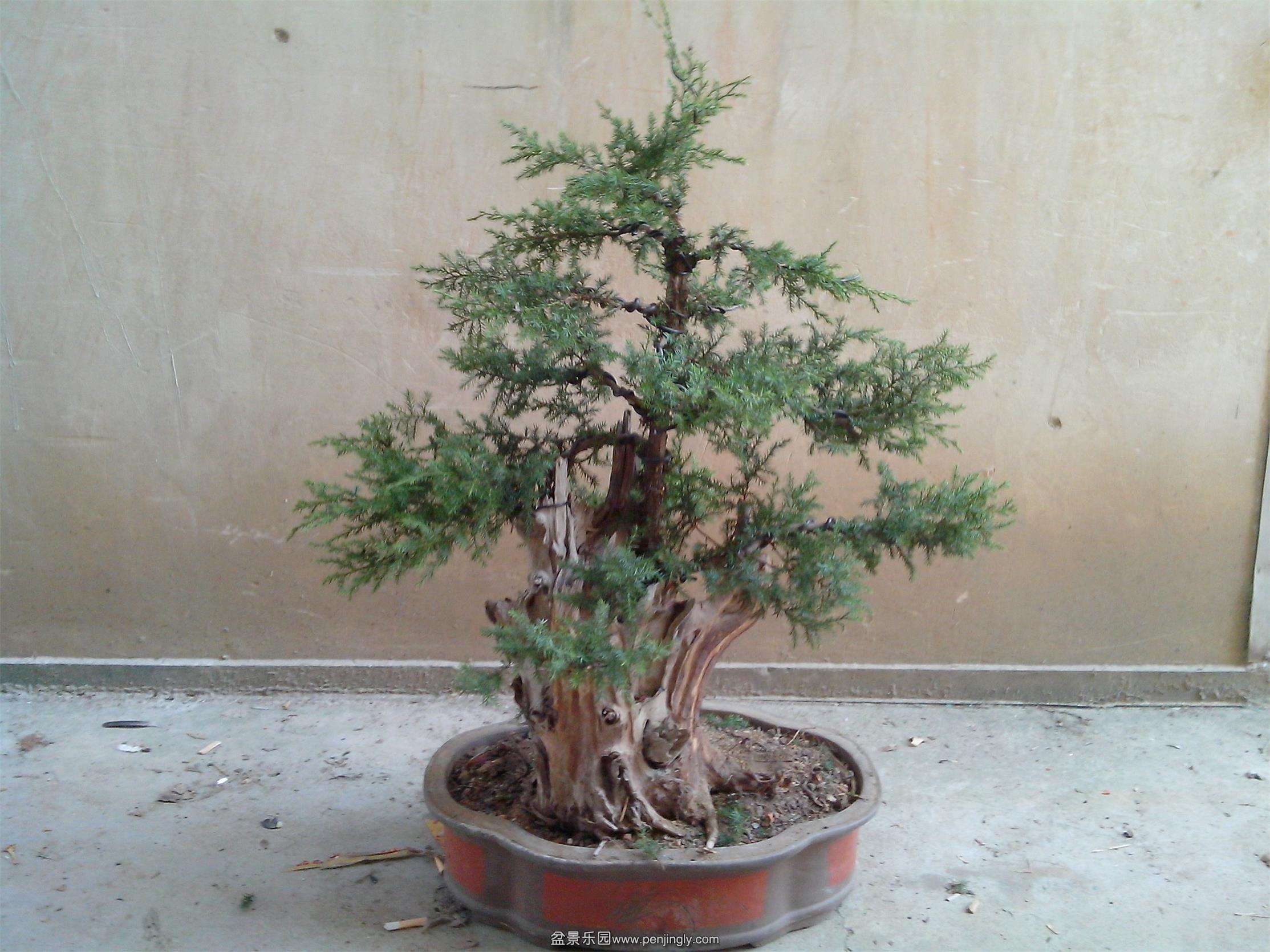 IMG20131004002.jpg