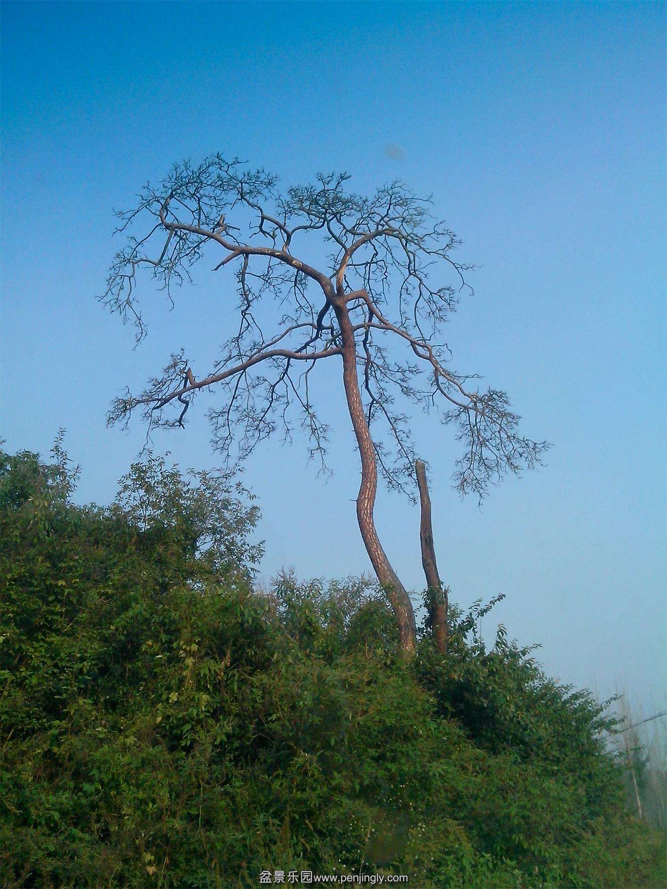 IMG20131002001.jpg