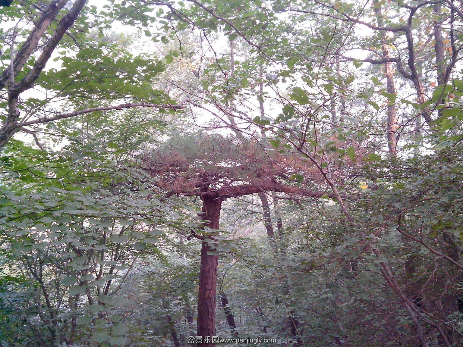 IMG20131002016.jpg