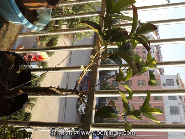 2013-10-05 16.22.48.jpg