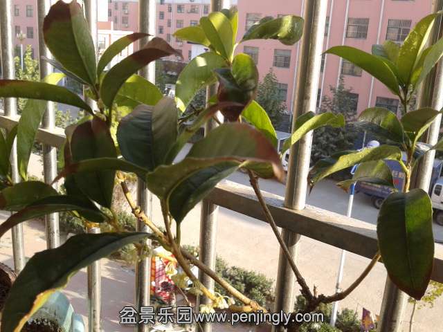 2013-10-05 16.22.59.jpg