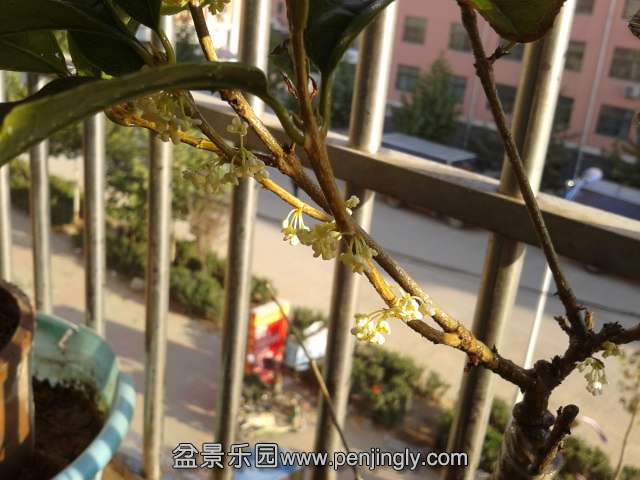 2013-10-05 16.23.06.jpg